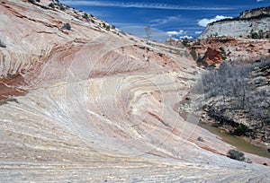 Zion National Park photo