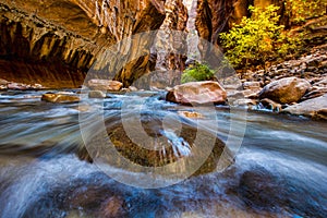 Zion National Park