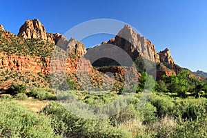 Zion National Park, Watchman and Virgin River Meadows in Evening Light, Utah, USA