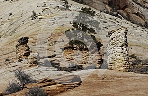 Zion National Park white and yellow sandstone formations