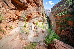 Zion Natural park in Utah USA. Beautiful view of valley and path for hikers. Amazing nature of USA