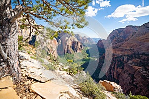 Zion Natural park in Utah USA. Beautiful view of valley and path for hikers. Amazing nature of USA