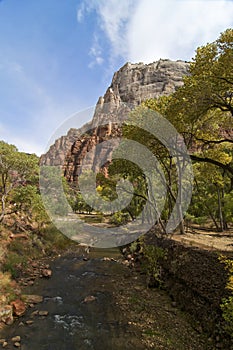 Zion River