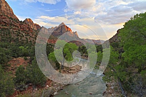 Zion Sunset and Cottonwoods