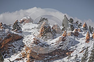 Zion Winter Snow