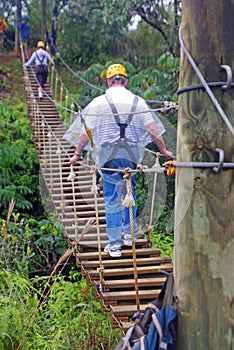 A Zip Line Bridge on Maui in the Hawaiian Islands