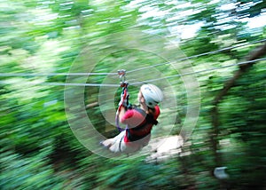 Zip Line In Jamaica