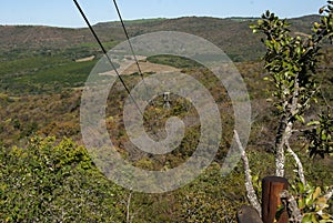 Zip lines over the tree canopy in Mpumalanga