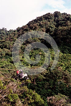 Zip-lining above rainforest