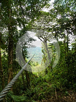 Zipline adventure in the jungle of Costa Rica