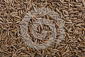 Zira east dry aromatic spice, food background