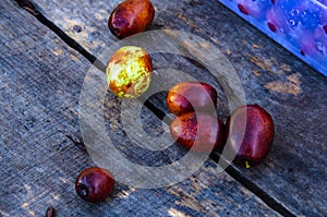 Ziziphus on old wooden boards assembled in plastic food boxes.