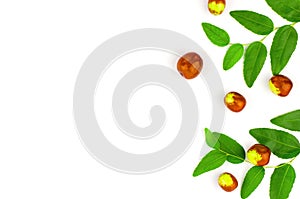 Ziziphus seeds on a white background. Fruits and leaves of jojoba on a white background