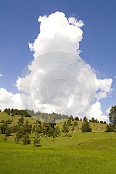 Zlatibor mountain moods