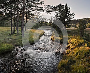 Zlatibor mountain stream among the trees and fields