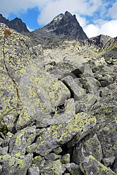 Zlomiskova dolina in Vysoke Tatry