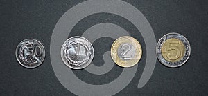 Zloty coin polish money pln currency