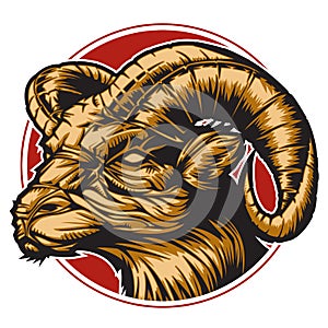 Zodiac Aries photo