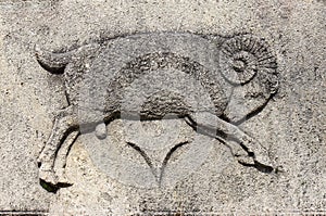 Zodiac - Aries or Ram photo