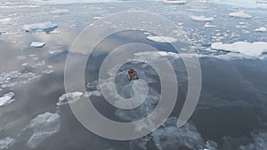 Zodiac boat sail brash ice water back aerial view photo