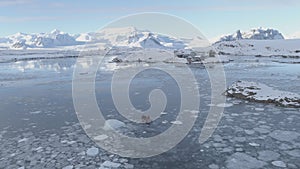 Zodiac boat sail at Vernadsky station aerialview