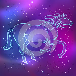 Zodiac. Chinese horoscope. Outline horse image.