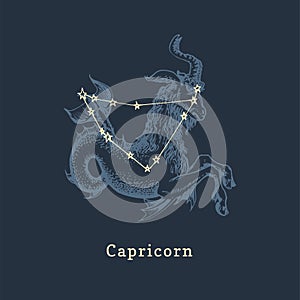 Zodiac constellation of Capricorn and its symbol in engraving style. Vector illustration of astrological sign Sea Goat. photo