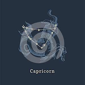 Zodiac constellation of Capricorn and its symbol in engraving style. Vector illustration of astrological sign Sea Goat.