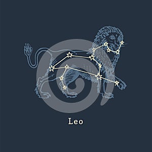 Zodiac constellation of Leo in engraving style. Vector retro graphic illustration of astrological sign Lion.