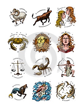 Zodiac constellation signs. Astrological symbols. Illustrations of horoscope. Magic female characters, Boho design. Hand