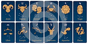 Zodiac constellations and signs. Horoscope cards with constellation stars, decorative zodiac sketch symbols vector photo