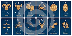 Zodiac constellations and signs. Horoscope cards with constellation stars, decorative zodiac sketch symbols vector