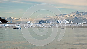 Zodiac in a field of icebergs