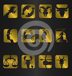 zodiac icon symbols photo