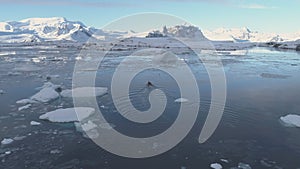 Zodiac Motor Boat in Icebergs, Following Aerial View.