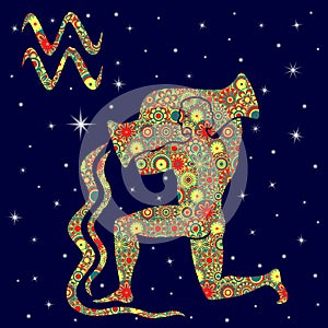 Zodiac sign Aquarius with variegated flowers fill over starry sk
