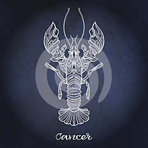 Zodiac sign. Astrological horoscope collection. Vector illustration