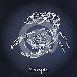 Zodiac sign. Astrological horoscope collection. Vector illustration