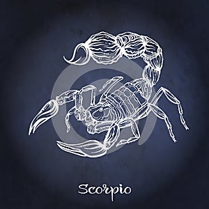 Zodiac sign. Astrological horoscope collection. Vector illustration photo