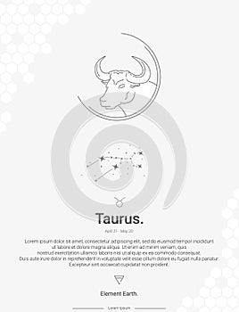 Zodiac sign constellations Taurus vector illustration wall decor ideas.