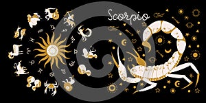 Zodiac sign Scorpio. Horoscope and astrology. Full horoscope in the circle. Horoscope wheel zodiac with twelve signs vector