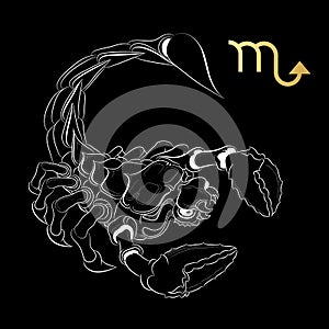 Zodiac sign Scorpio isolated on black background. Vector.