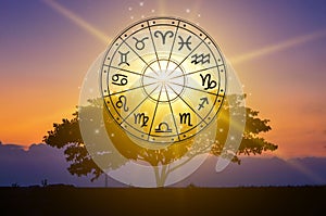 Zodiac signs inside of horoscope circle astrology and horoscopes concept