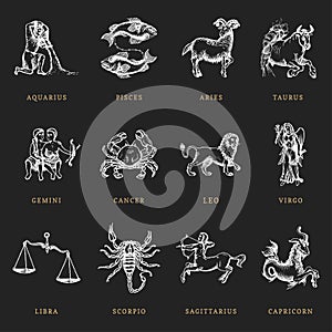 Zodiac symbols set, hand drawn in engraving style. Vector graphic retro illustration of astrological signs.