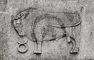 Zodiac - Taurus or Bull