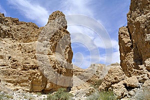 Zohar gorge in Judea desert.