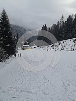 Zoldo alto Ski