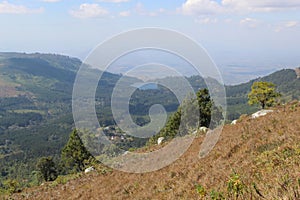 Zomba mountain slope with golden grass