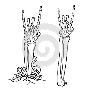 Zombie body language. Sign of the horns. Pair of skeleton hands rising