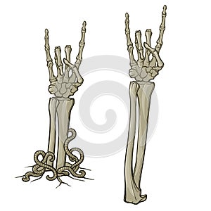 Zombie body language. Sign of the horns. Pair of skeleton hands rising from the ground and torn apart. linear drawing
